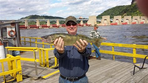 clements fishing barge|Government pier 9/10 .